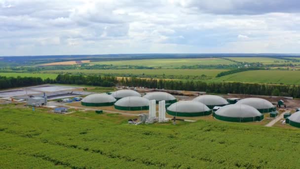 Farma Biogazu Zielonych Polach Nowoczesny Zakład Rolniczy Przyrodzie Energia Odnawialna — Wideo stockowe