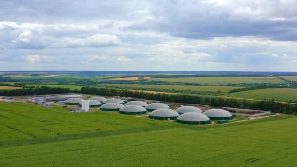 Fazenda Agrícola Para Produção Biológica Biogás Planta Fundo Natureza Verde — Vídeo de Stock