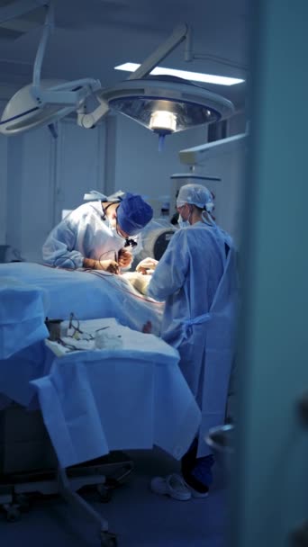 Processo Cirúrgico Quadro Preto Sala Operações Hospital Médicos Uniforme Médico — Vídeo de Stock