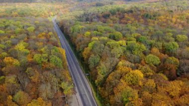 Renkli ormanlık alanda yol. Güzel bir ormanın sonbahar manzarası. Düz asfalt yolda, arabalar hareket halinde. Sonbahar mevsiminde ormanın renkli doğası. Hava görünümü.