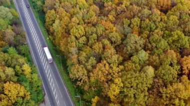 Sonbahar ormanında yol. Kamyonlar ve arabalar sonbahar mevsiminde güzel manzaralar arasında otoyolda ilerliyorlar. Üst hava görüntüsü.