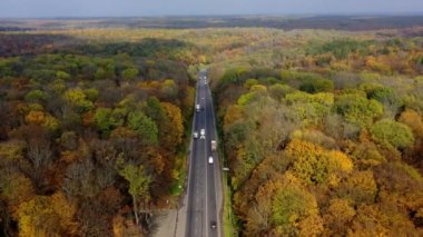 Ormanda arabalı bir yol. Renkli sonbahar ormanlarından geçen arabalar var. Otoyolun iki tarafında da renkli ağaçlar var. Hava görünümü.