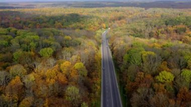 Sonbahar manzarası ve bir otoyol. Renkli ormanın içinde hareket eden arabaların olduğu panoramik bir yol manzarası. Kamera geri gidiyor. Hava görünümü.