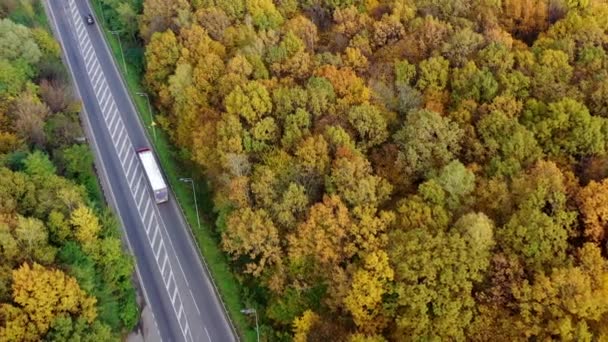 秋の森の中の道 秋の美しい景色の間を高速道路で移動するトラックや車 トップエアリアルビュー — ストック動画