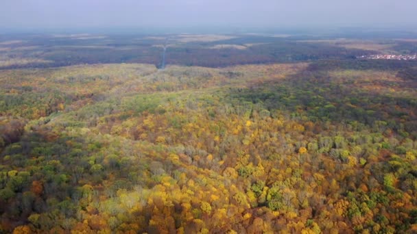 Panoramisch Uitzicht Het Herfstlandschap Mooie Bossen Het Najaar Kleurrijke Bomen — Stockvideo