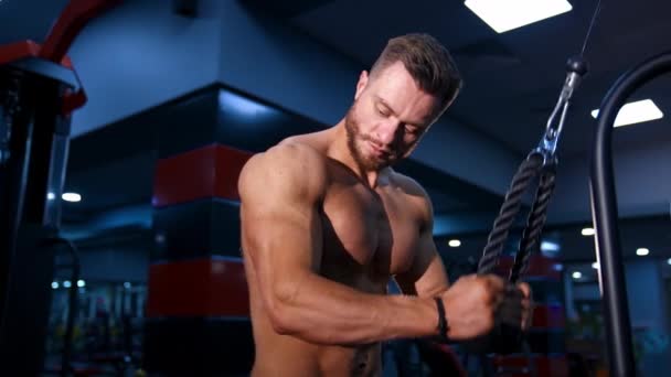腕の筋肉をポンピングするフィットネス男性 ボディービルダーは ジムで裸のトルソと腕演習を行っています トレーニング中のハンサムなパワーアスリート 屋内ワークアウト — ストック動画