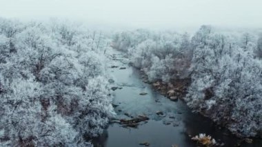 Kışın orman nehri. Kış ormanı ve nehri kaplayan kar manzarası