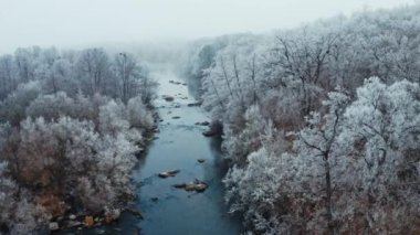Manzaralı kış manzarası. Güzel nehrin etrafındaki karla kaplı ormanın havadan görünüşü