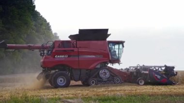 Sahada çalışmayı birleştir. Buğday hasadı üzerinde çalışan modern biçerdöver