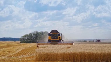 Tarım makinesi hasat alanı. Buğday tarlasını modern olarak birleştirin