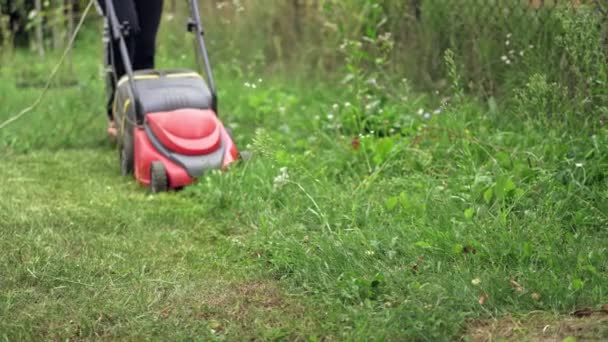 緑の草の上の芝刈り機 芝刈り機で草を刈るクローズアップ — ストック動画