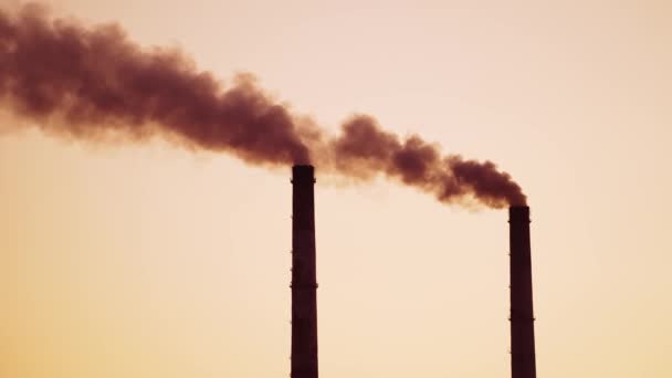 Труба Загрязняющей Фабрики Дым Труб Загрязняет Атмосферу Планеты — стоковое видео