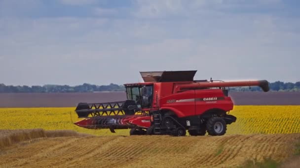 フィールドで働くハーベスターを組み合わせる 農場で収穫する熟した小麦を組み合わせる — ストック動画