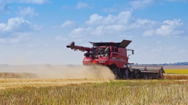 农业工人靠机械收割 联合收割机收集小麦作物 — 图库视频影像