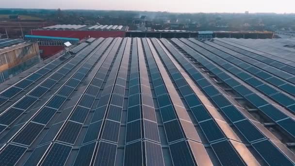 Güneş Panelleri Olan Fabrika Çatısı Çatıdaki Güneş Enerjisinin Hava Görüntüsü — Stok video