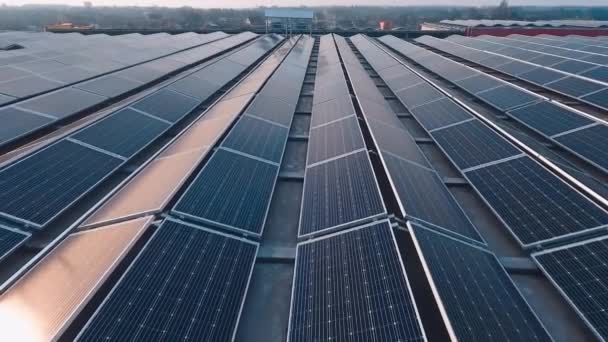Солнечная Энергия Крыше Вид Воздуха Солнечные Панели Покрывающие Всю Крышу — стоковое видео