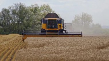 Tarlada çalışan hasat makinesini birleştirin. Hasat, tarlalardan olgun mahsulleri toplama sürecidir.
