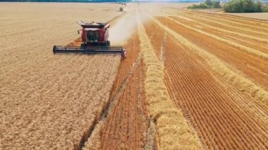Tahıl hasadı birleşimi. Çiftlikteki ekinleri biçen biçerdöver antenini hasat et