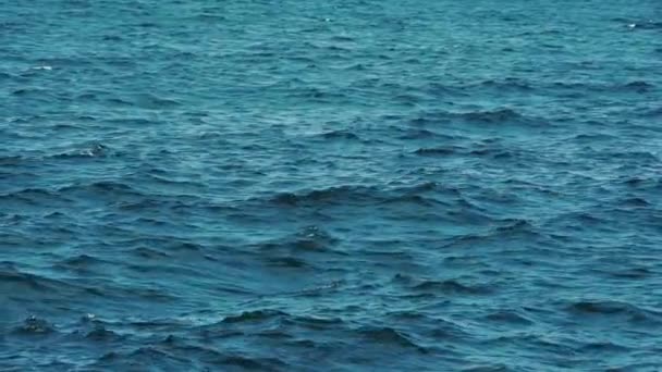 ポンド表面の背景 アクア海水面の背景撮影 — ストック動画