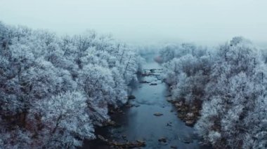 Kış ormanı nehri. Kış ormanlarının havadan görünüşü Vahşi nehir manzarası