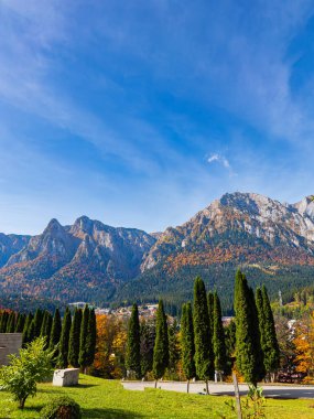 Önünde ağaçlar olan bir dağ sırasının manzarası.