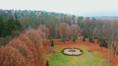 Orman manzarasının hava görüntüsü. Güzel doğa manzarasının havadan görünüşü