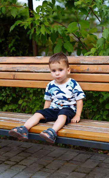 A little boy sitting on a wooden bench. The Curious Adventures of a Thoughtful Little Boy on a Rustic Wooden Bench