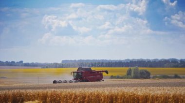 Kır çiftçiliği arazisi. Buğday tarlasını hasat makinesiyle birleştirmek