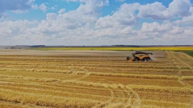 Buğday tarlasını birleştirin. Tarımın havadan görünüşü altın renginde hasat ediyor.