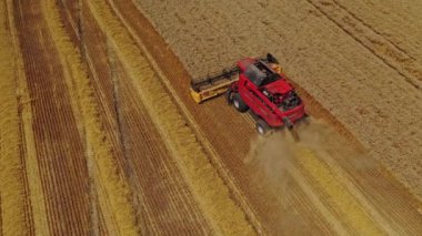 Tarım arazisi ve tarım arazisi. Buğday tarlasının havadan görünüşü ve hasat birleşimi