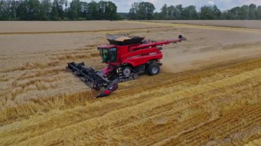 Zirai hasat makinesini birleştirin. Çiftçilik buğday tarlasında hasatçıları birleştirdi