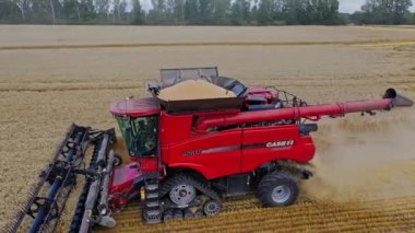 Modern çiftlik biçerdöveri birleştirir. Buğday tarlasında çalışan hasat makinesinin hava görüntüsü