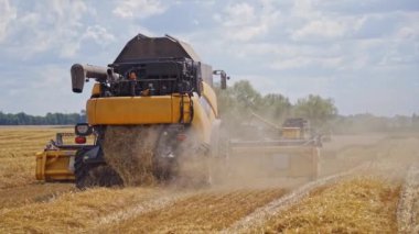 Ekin toplama mevsimi. Buğday tarlasını hasat eden tarım makinesini birleştirin.