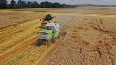 Hasat makinelerinin hava görüntüsü. Tarlada çalışan hasatçıların yüksek açılı görüntüleri.