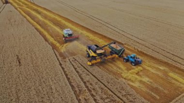 Tohumları karavana yükleyen hasat makinesi. Tramvayı olan traktör, hasat makinesiyle birlikte çalışıyor.