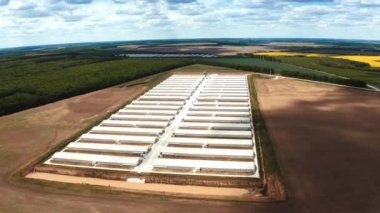 Endüstriyel kümes hayvanları çiftliği. Kırsal kesimdeki çiftlik binalarının havadan görünüşü