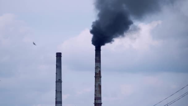 Tubos Fábrica Com Fumo Fumaça Tubos Polui Atmosfera — Vídeo de Stock