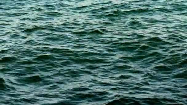 青い海が落ち着いている 海のオープンウォーター — ストック動画