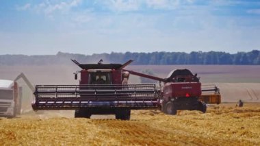 Hasat makinesini sahada birleştirin. Buğday tarlasında hasat işliyor.