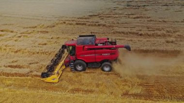 Buğday hasadını birleştir. Buğday tarlasında çalışan hava görüntüsü