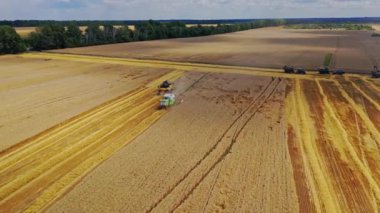 Tarla silueti hasat ediliyor. Tarlalarda mahsul toplayan tarım makinesi