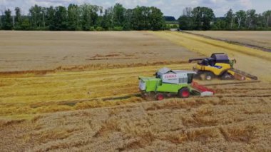 Tarlada çalışan biçerdöver makineleri. Olgun buğdayları çiftlikte hasat eden hava manzarası
