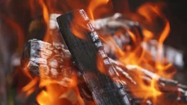 Doğada kamp ateşi yakın. Kamp ateşinin turuncu aleviyle atmosferik sıcak arka plan