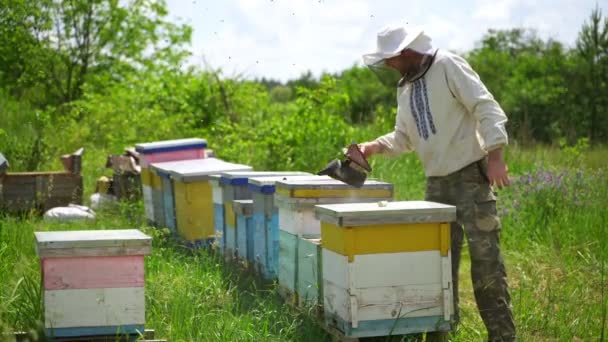 养蜂人在养蜂场工作 养蜂人用白烟熏蜂窝 — 图库视频影像