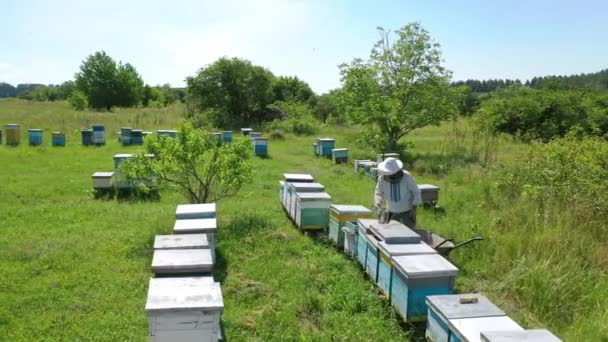一个人在4月工作 养蜂人在蜂房检查蜂窝框架 — 图库视频影像