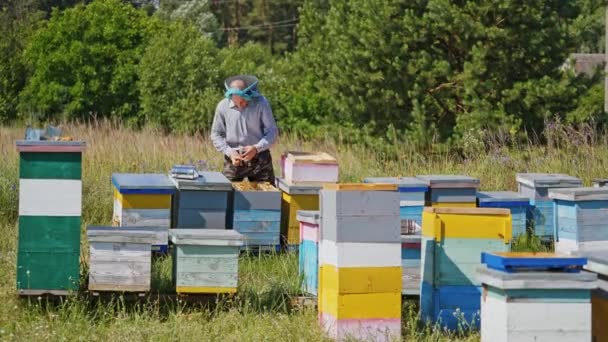 养蜂人拿着蜜蜂的框架 蜂房防护工作服检查蜂窝的养蜂人 — 图库视频影像