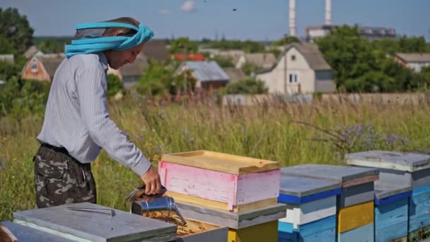 Včelař Pracuje Včelíně Včelař Pracující Včelami Úly Včelíně — Stock video