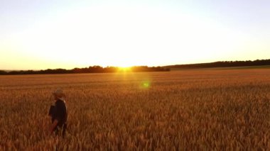 Buğday tarlasında kıdemli adam. Çiftçi altın buğday tarlasında mahsulüne dokunuyor