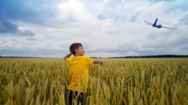 Uçağı olan bir çocuk. Mutlu çocuk buğday tarlasına oyuncak uçak fırlatıyor.