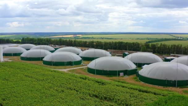 Biyokütlenin Yenilenebilir Enerjisi Yeşil Tarlalardaki Biyogaz Fabrikası Çiftliğinin Havadan Görünüşü — Stok video
